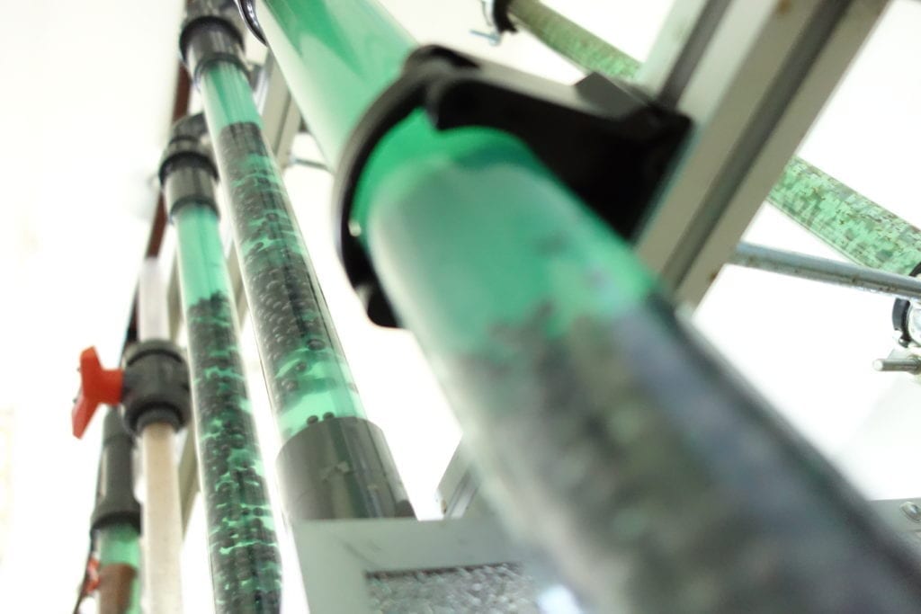 Behandlung von Industrieabwasser