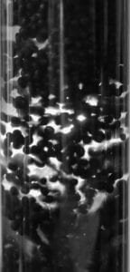 Fluidized bed
